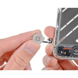 Cambio reparación botón home iphone 5s ( PORTES GRATIS )